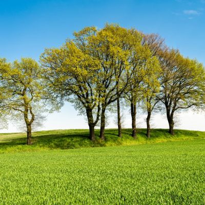 Green hill with dreamy clouds and blue sky in the background. Green hill with dreamy clouds and blue sky in the background.